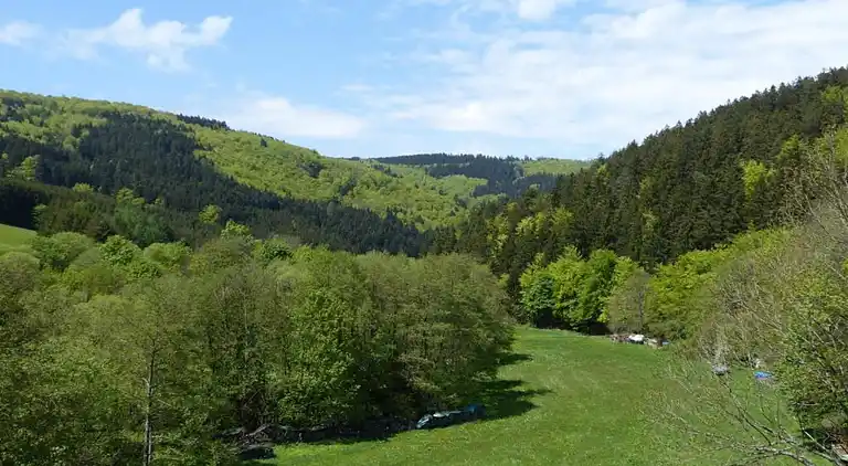 Ferielejlighed i Willingen (Upland)