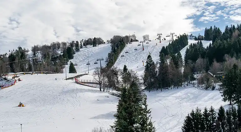 Ferielejlighed i Willingen (Upland)