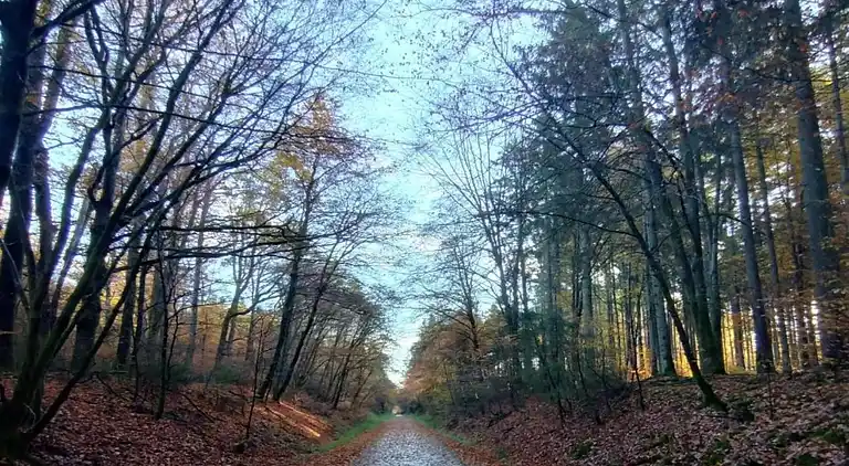 Herregård i Denterhof