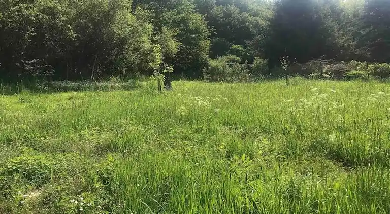 Herregård i Denterhof