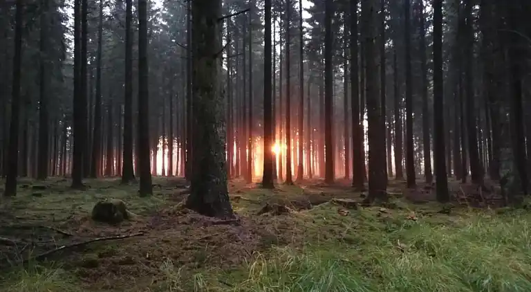 Herregård i Denterhof