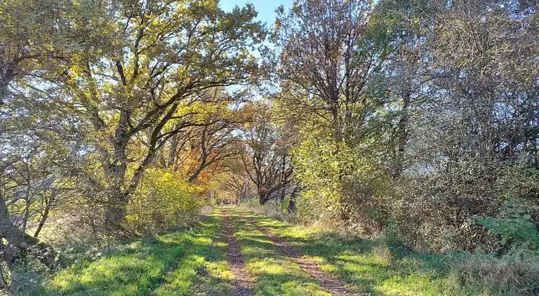 Herregård i Denterhof