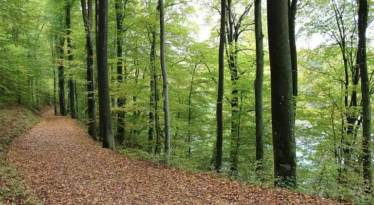 Herregård i Denterhof