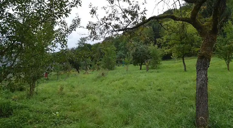 Herregård i Denterhof