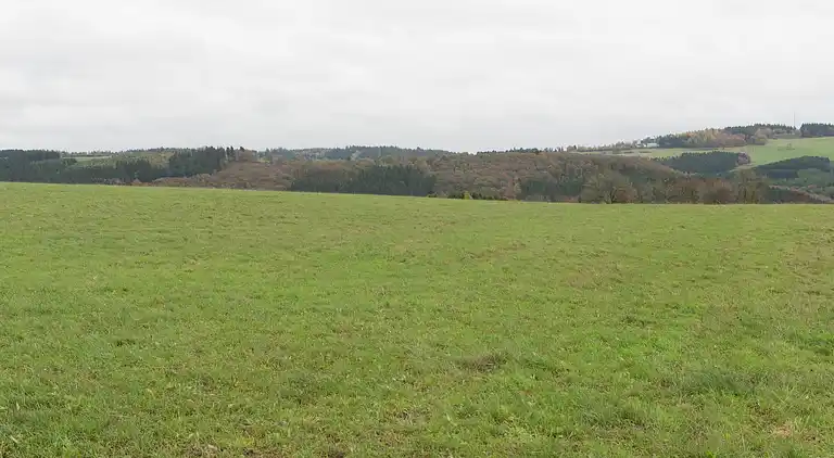 Ferielejlighed i Sellericherhöhe