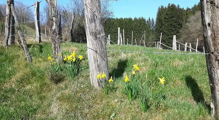 Ferielejlighed i Sellericherhöhe