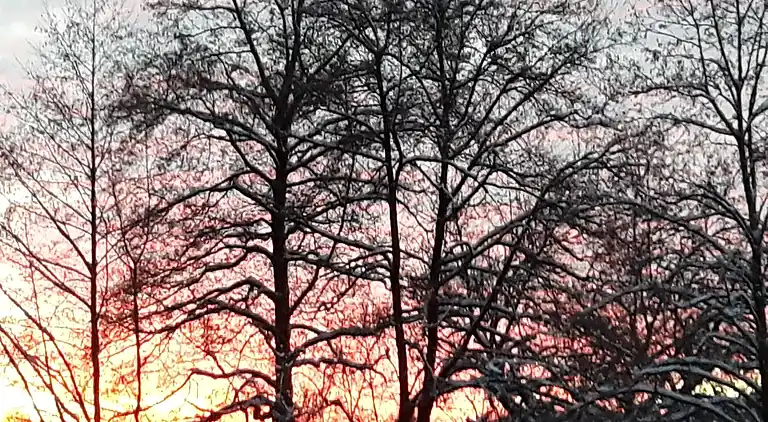 Ferielejlighed i Sellericherhöhe