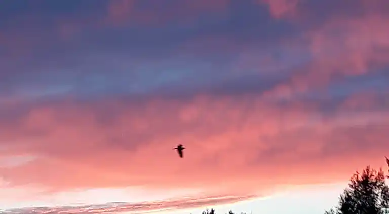 Ferielejlighed i Sellericherhöhe