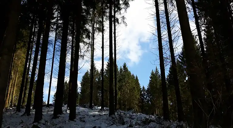 Ferielejlighed i Sellericherhöhe