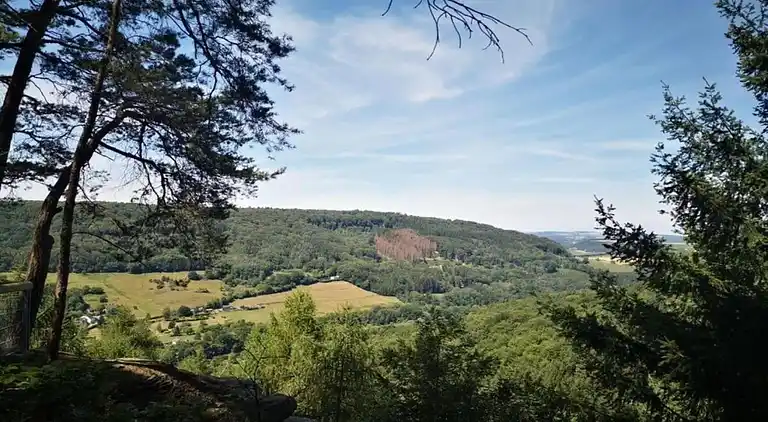 Holiday home in Bollendorf