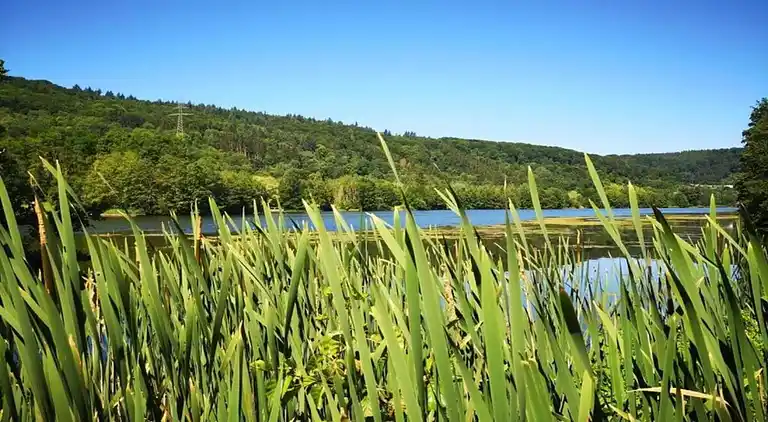 Holiday home in Bollendorf