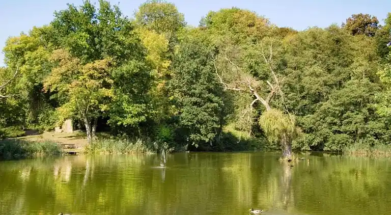 Holiday home in Bollendorf