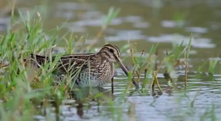 Holiday home in Furth