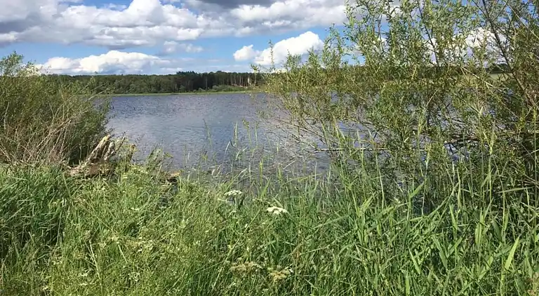 Holiday home in Furth