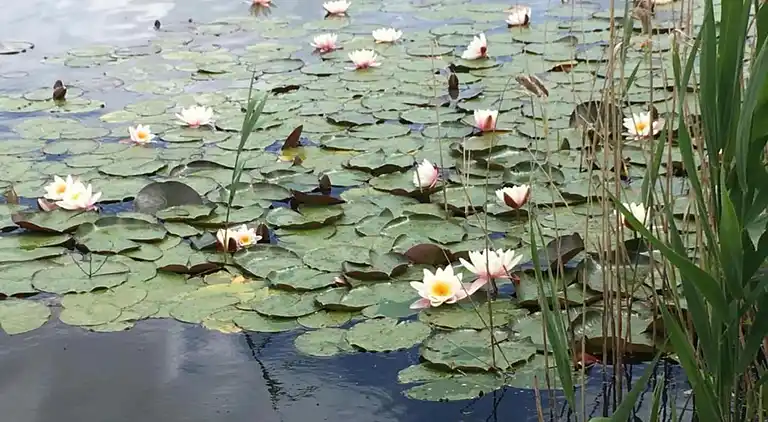 Holiday home in Furth