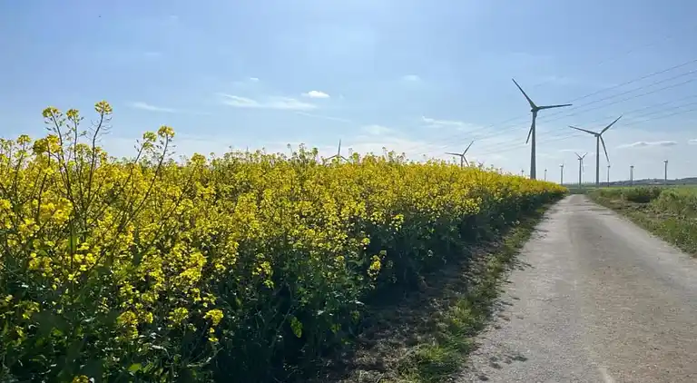 Ferielejlighed i Eulgem