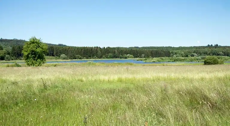 Holiday home in Furth