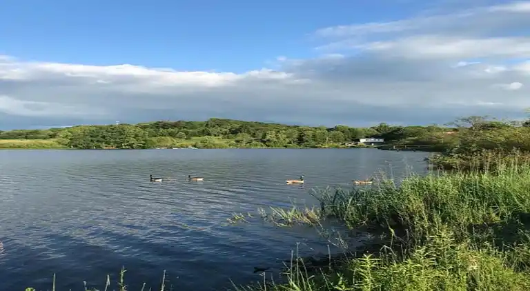 Holiday home in Furth