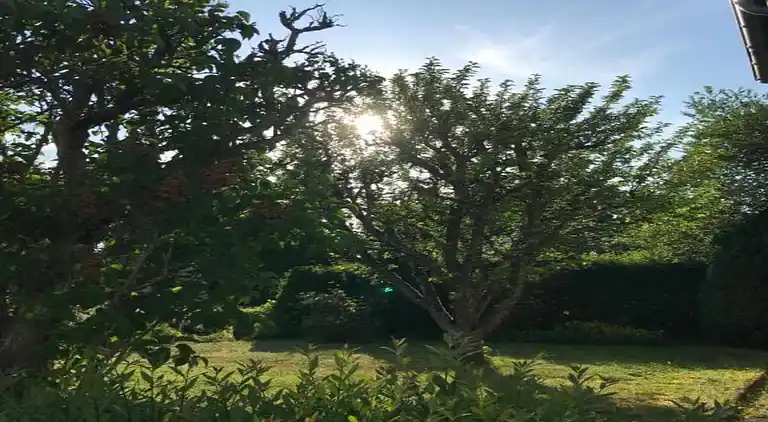 Holiday home in Furth