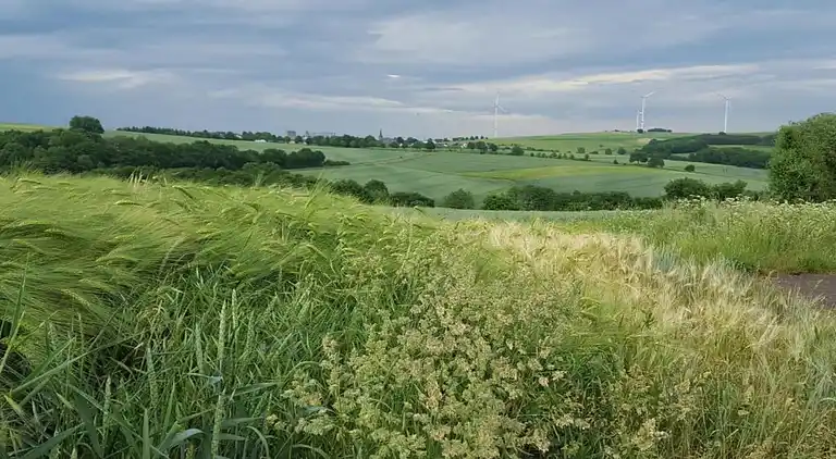 Ferielejlighed i Eulgem