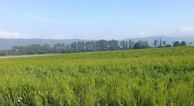 Holiday home in Furth