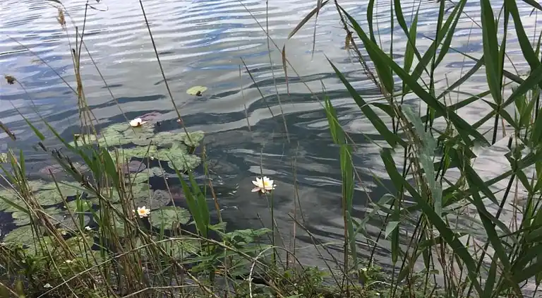 Holiday home in Furth