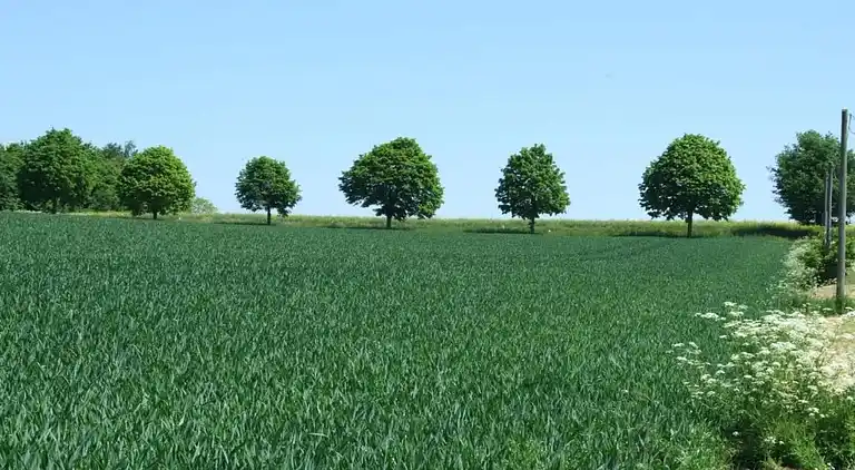 Ferielejlighed i Eulgem