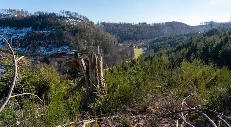 Ferielejlighed i Kierspe