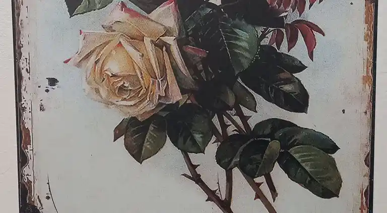 Hervorragende Maisonette von 90 m² in Mulhouse – Ideale