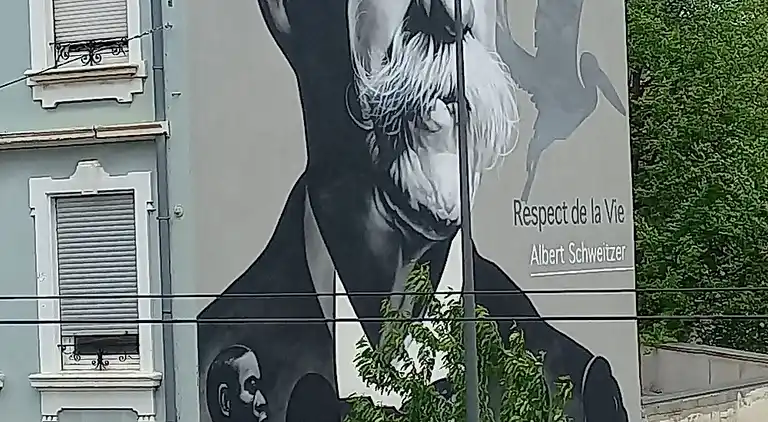 Hervorragende Maisonette von 90 m² in Mulhouse – Ideale