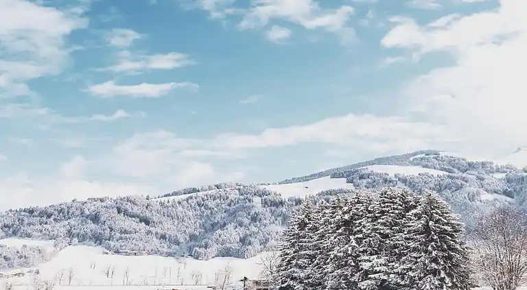 Ferielejlighed i Uderns