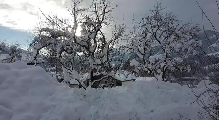 Ferielejlighed i Aschau im Zillertal