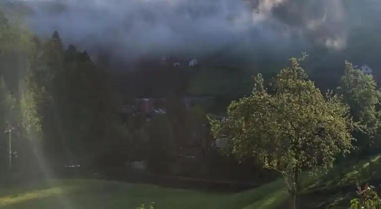 Ferielejlighed i Bad Peterstal-Griesbach