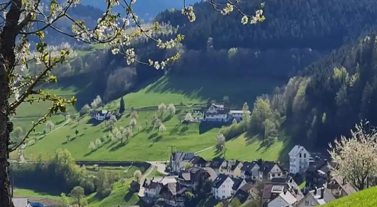 Ferielejlighed i Bad Peterstal-Griesbach