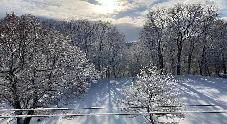 Sommerhus i Altenfeld