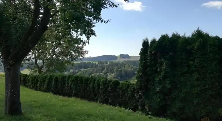 Sommerhus i Altenfeld