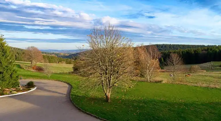 Sommerhus i Altenfeld