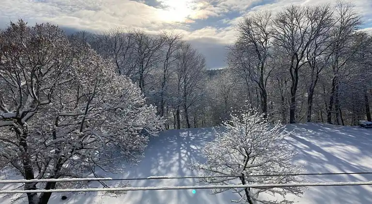 Sommerhus i Altenfeld