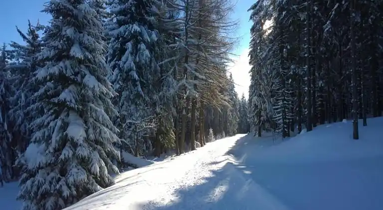 Sommerhus i Altenfeld