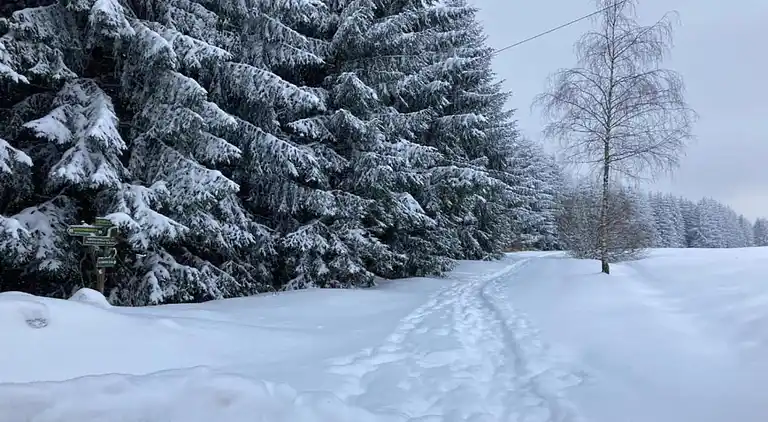 Sommerhus i Altenfeld