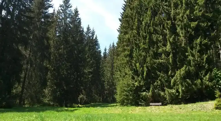 Sommerhus i Altenfeld