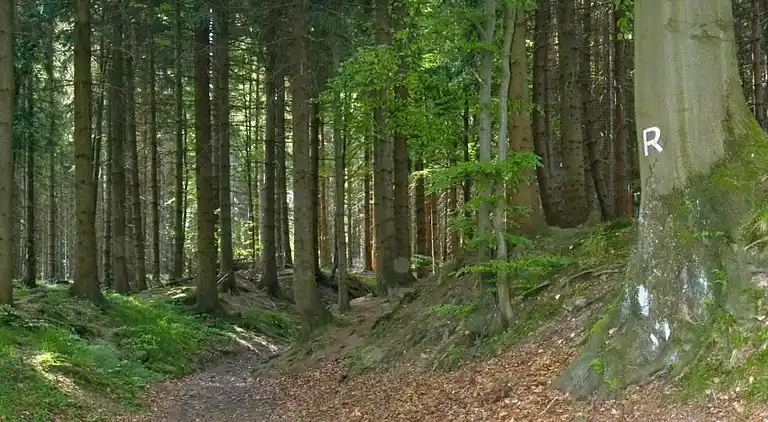 Sommerhus i Altenfeld