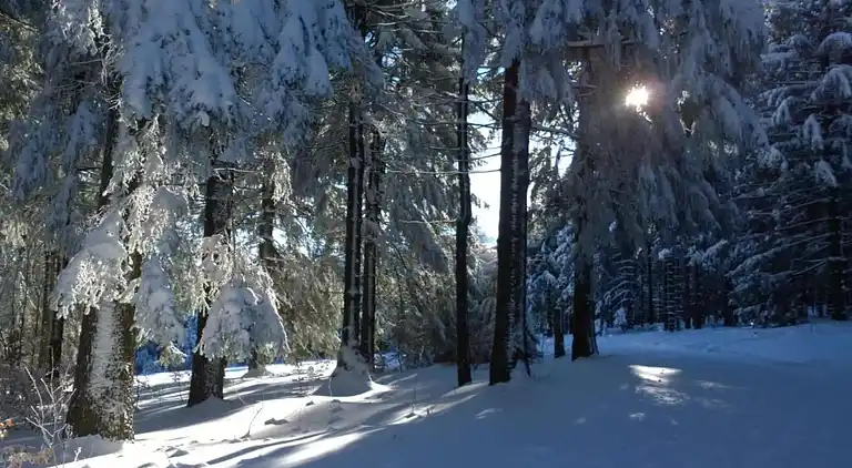 Sommerhus i Altenfeld