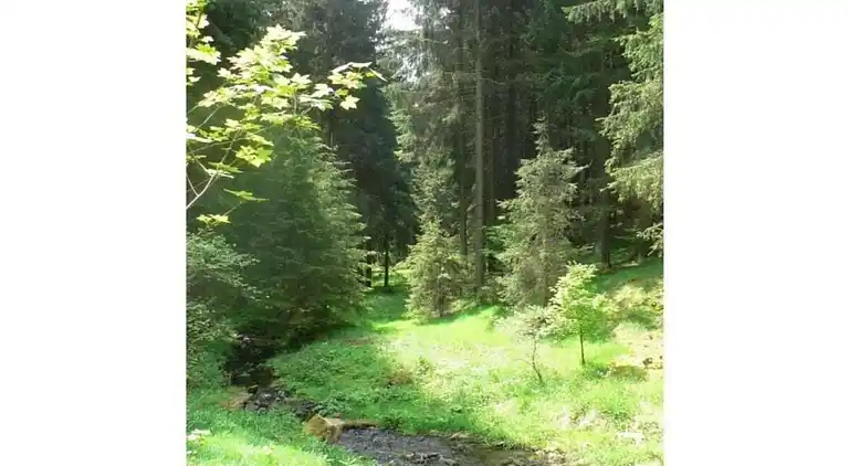 Sommerhus i Altenfeld
