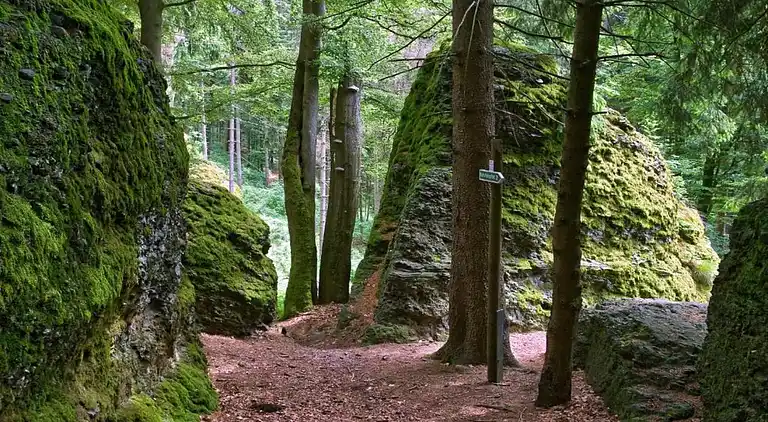 Sommerhus i Altenfeld