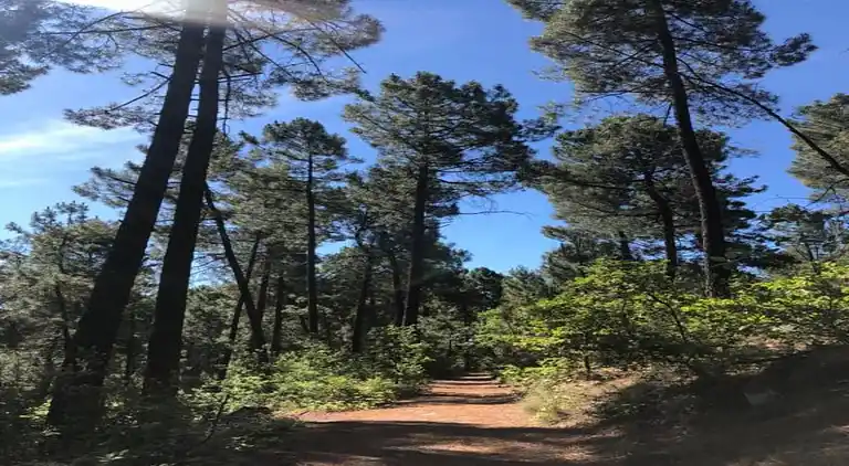 Maison de vacances au Malbosc