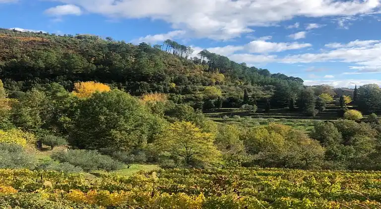 Maison de vacances au Malbosc