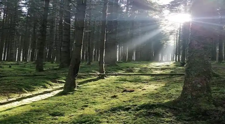 Feriebolig i Largentière