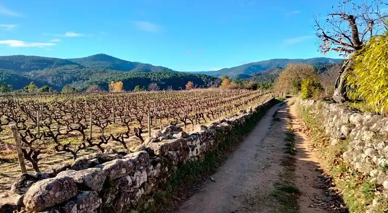 Maison de vacances au Malbosc
