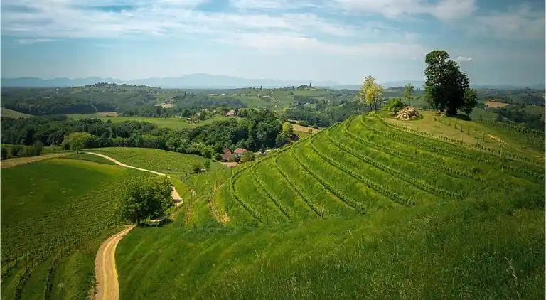 Villa in Ripenda Kras